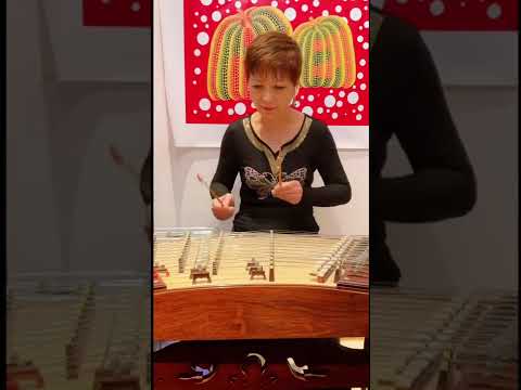 揚琴學習(13) |小貓釣魚|榮動最光榮｜Chinese Hammered Dulcimer Learning Journey | A kitten goes fishing @bettyyyhful