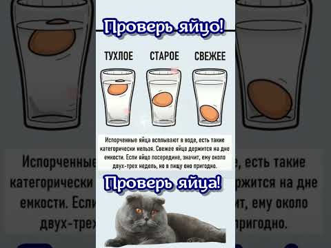 Как проверить яйцо? Нужно знать!#shorts super