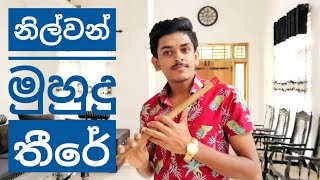 Video thumbnail of "Nilwan Muhudu Theere (නිල්වන් මුහුදු තීරේ) | Flute Cover 🎶🎵 | Milan M Fernando |"