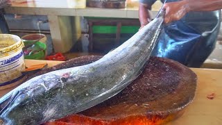 EXPERT FISH CUTTER || AMAZING CUTTING SKILLS || MOST POPULAR FISH CUTTING