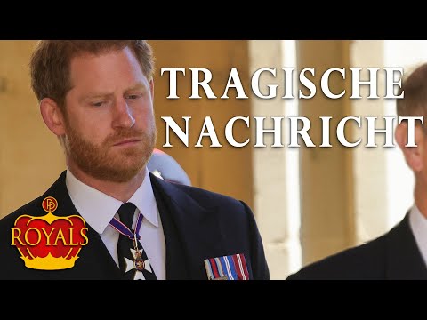 Video: Prinz Harry wurde in einer Haartransplantationsklinik gesichtet