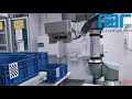 Raruk automation in 60 seconds 2023