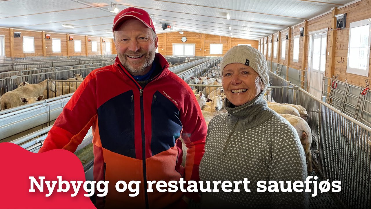Nybygg og restaurert sauefjøs hos Håkon Furuhovde