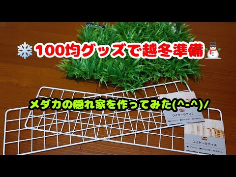 100均グッズで越冬準備 メダカの隠れ家を作ってみた Youtube