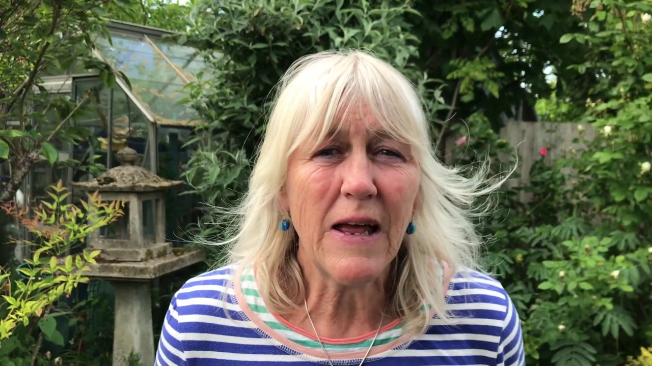 A virtual 'Big Chill'- a guided nature walk