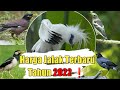 UPDATE HARGA JALAK TERBARU DITAHUN 2022 ❗ MULAI NAIK HARGANYA 😱