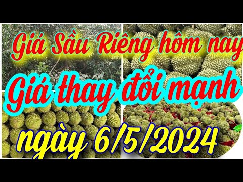 giá sầu riêng hôm nay ngày 6/5/2024