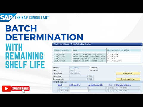 Batch determination with remaining shelf life | #LOBM_RLZ | #LOBM_VFDAT | SAP SD | Batch Management