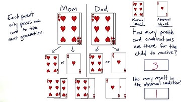 Two Copies - Tales from the Genome