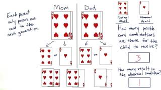 Two Copies - Tales from the Genome