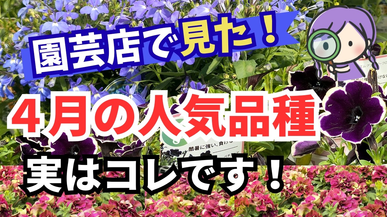 Gardening] A special feature on the divine flowers we saw at a