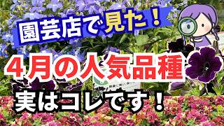 Gardening] A special feature on the divine flowers we saw at a