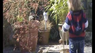 Ava Greenwoods first easter egg hunt