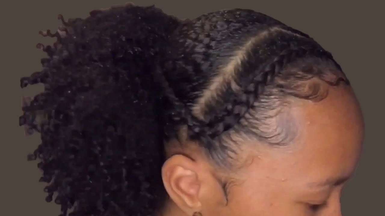 Two Braids & Low Puff || Natural Hairstyle on 3C Hair