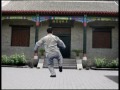 Master James Fu's 28 Forms - Authentic Yang Tai Chi Chuan - Proficiency Demo