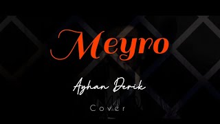 Ayhan Derik - Meyro (Cover)