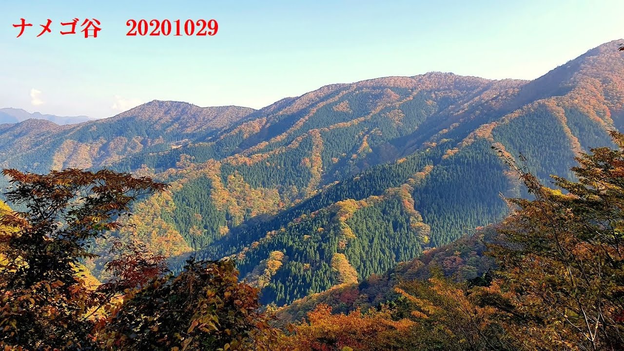 309号線 みたらい渓谷とナメゴ谷の紅葉 少し早かったです ムービー1029 Youtube