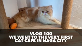 VLOG 100 - We went to the very first cat cafe in Naga City