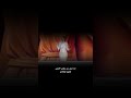 انا امي دي مثل لاعلى فطول اوقاتي