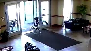 КОГДА ЭТИ СБЕЖАВШИЕ ПИТБУЛИ ЗАШЛИ В БОЛЬНИЦУ, ЗЕВАКИ ЗАСТЫЛИ НА МЕСТЕ ОТ СТРАХА КОГДА ЭТИ СБЕЖАВШИЕ ПИТБУЛИ ЗАШЛИ В БОЛЬНИЦУ, ЗЕВАКИ ЗАСТЫЛИ НА МЕСТЕ ОТ СТРАХА