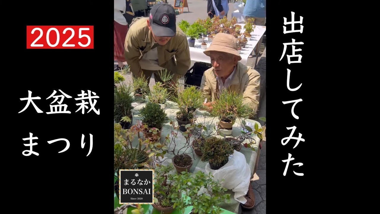 #408 大盆栽まつり2025