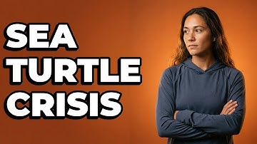 How Does Habitat Loss Impact Sea Turtles?