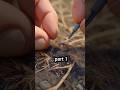 हमने चींटी की पीठ पर कैमरा लगा दिया 😳 | Inside Ant Colony Real Footage #short #shorts #shortvideo