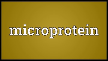 Microprotein Meaning
