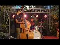 Robin wagle trio  khulera haasaula hai   instrumental 