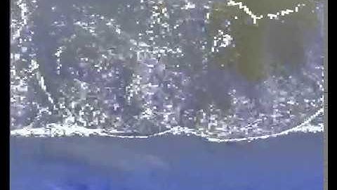 Various beach scenes, real time fluid simulation