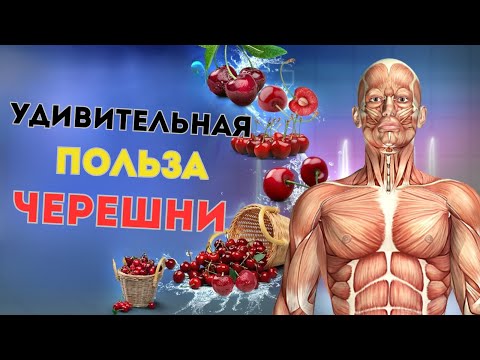 Что творит ЧЕРЕШНЯ
