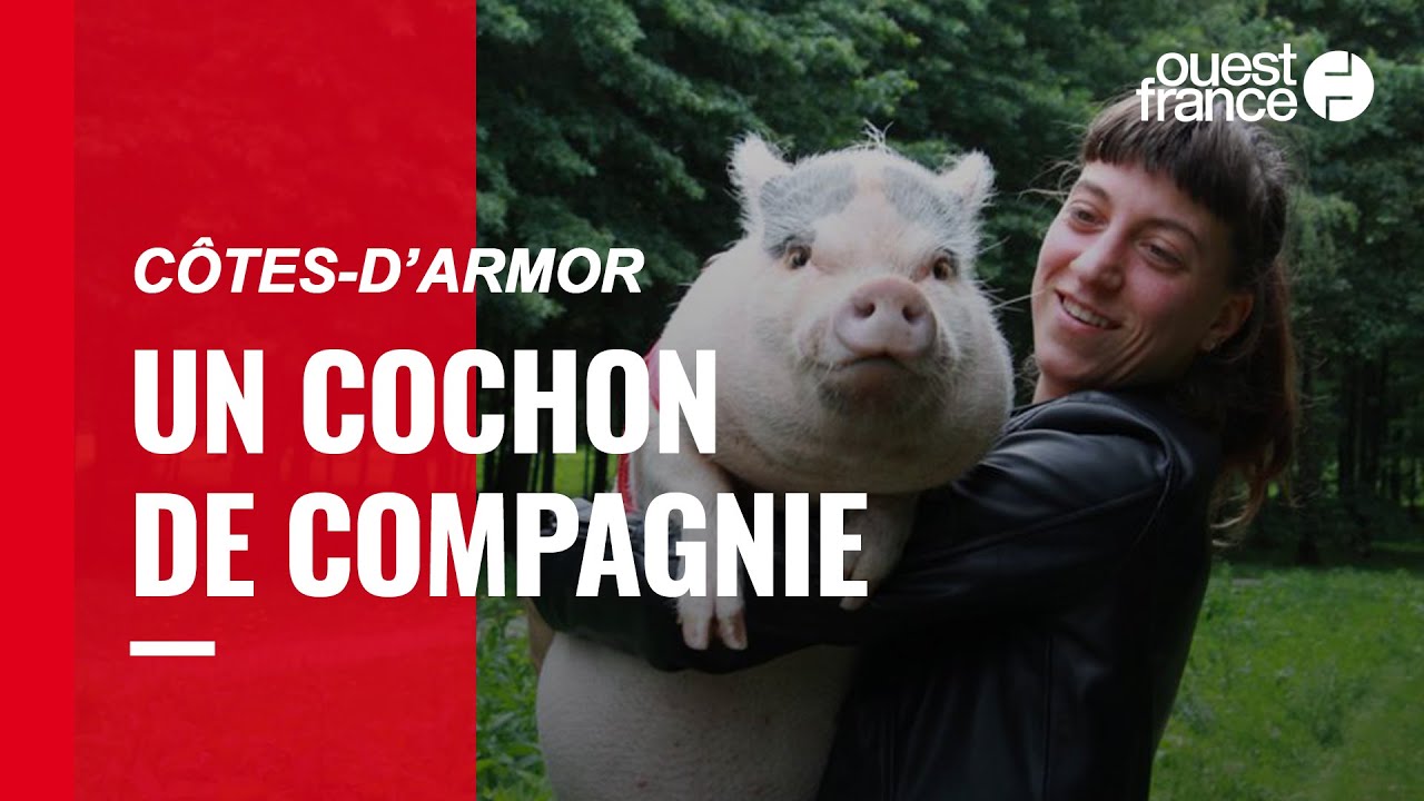 Manon et Gustave, son cochon de compagnie