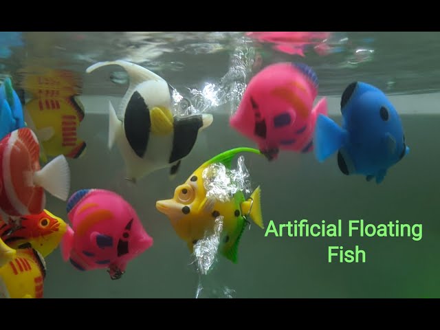 Artificial Floating Fish 🐠