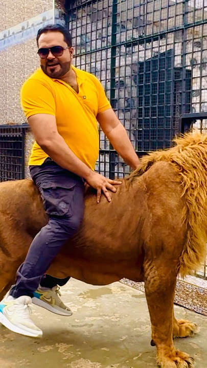 Lion riding (mian saqib)