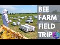Bee Farm Field Trip