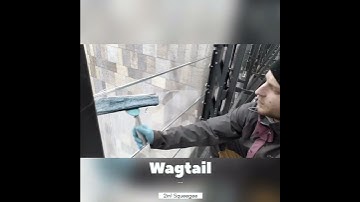 Wagtail 2in1 Squeegee