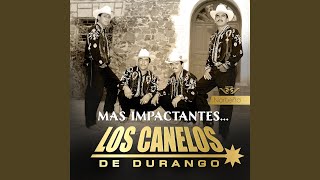 Video thumbnail of "Los Canelos de Durango - Celos del Viento"