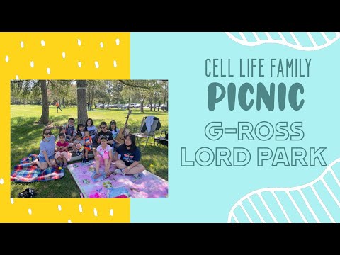 travel and family picnic