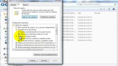 Como mostrar archivos y carpetas ocultos en Windows 7