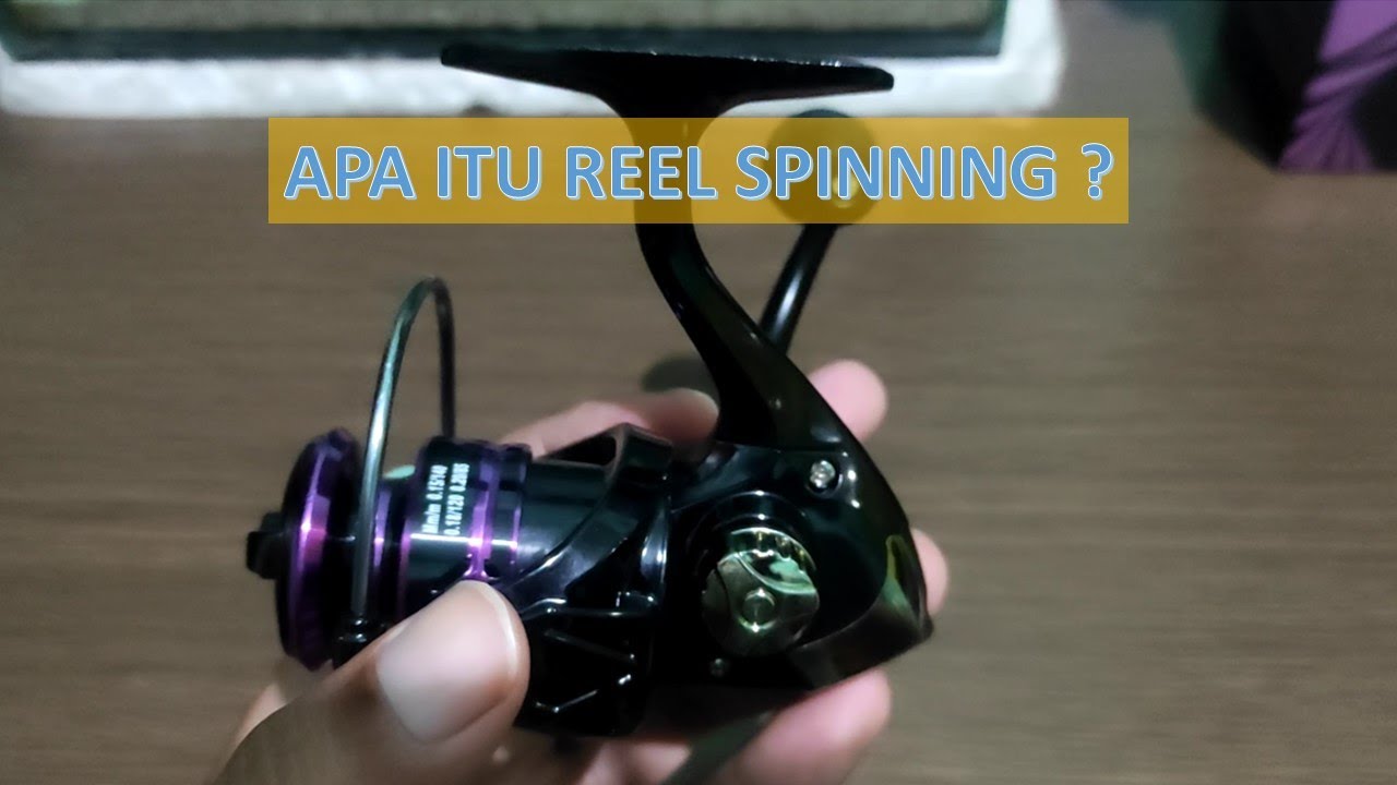 Arti Spin Apa
