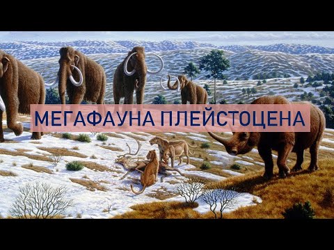 Мегафауна плейстоцена