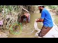 Best Cast Net fishing video  |Patanfish Rohufish and catfish five types of fishes in Net fishing|