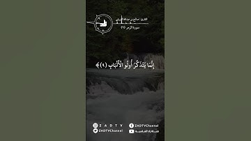 ما تيسر من سورة الزمر ( ٩ ) تلاوة خاشعة