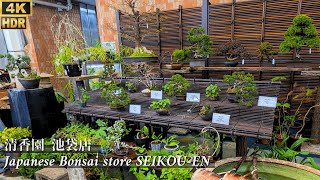 盆栽店 清公園 彩花盆栽 東武池袋店 ~Japanese Bonsai store 'SEIKOU-EN'~ 2024.3 [4K HDR]