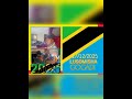 LUSOMISHA GOGADI MAANDAMANO TANZANIA PRD BY SALAM RECORDS Official Audio