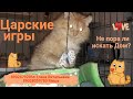 Царские игры