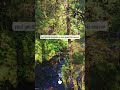 Fall Self-Care #fallvibes #cozyambience #aestheticvideo #selfcare #shorts