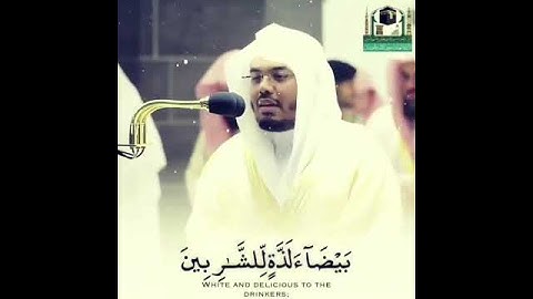 حالات واتس قران كريم / ( الا عباد الله المخلصين ) القارئ ياسر الدوسرى