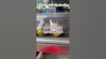 MÁY RỬA TRÁI CÂY ĐA NĂNG: RỬA TRÁI DỪA, SẦU RIÊNG, MÍT, THƠM, KHÓM, DỨA, DƯA - BĂNG TẢI RỬA TRÁI CÂY