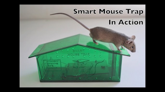 Advertised As The World's Best Automatic Mouse Trap Ketch-All Mouse Trap  In Action 